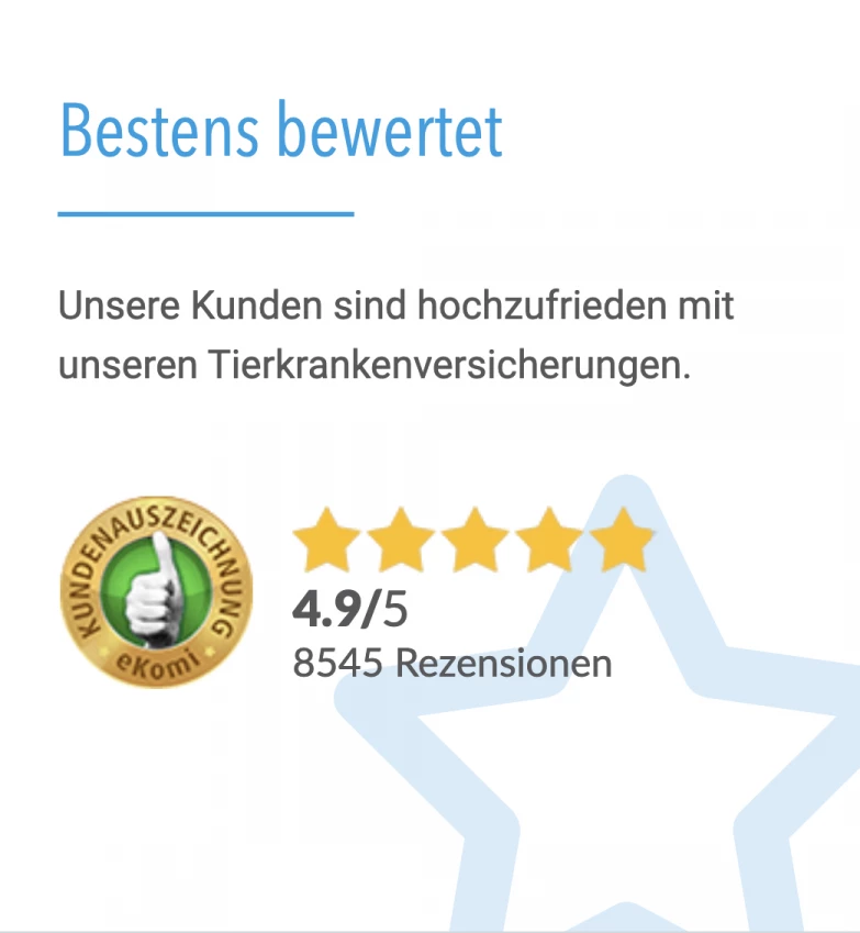 Bestens Bewertet